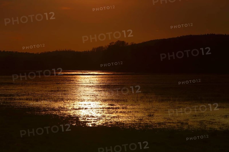 Dammed meadow in backlight