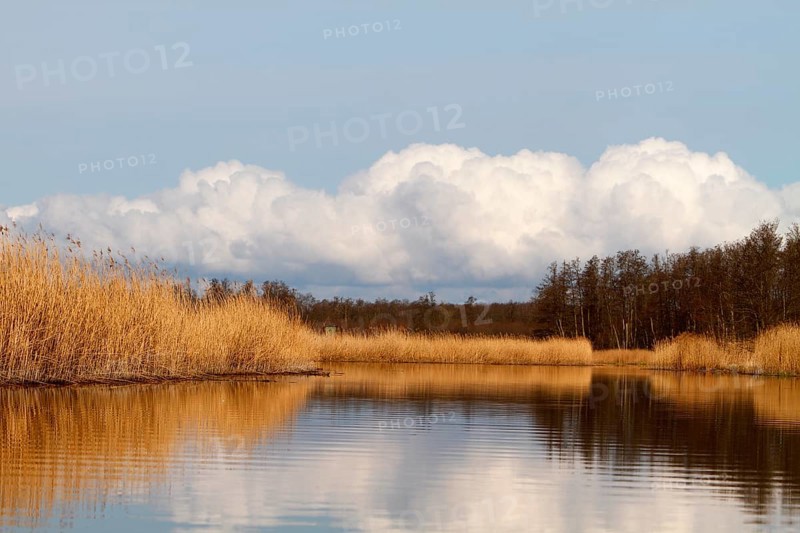 Evening mood on the river