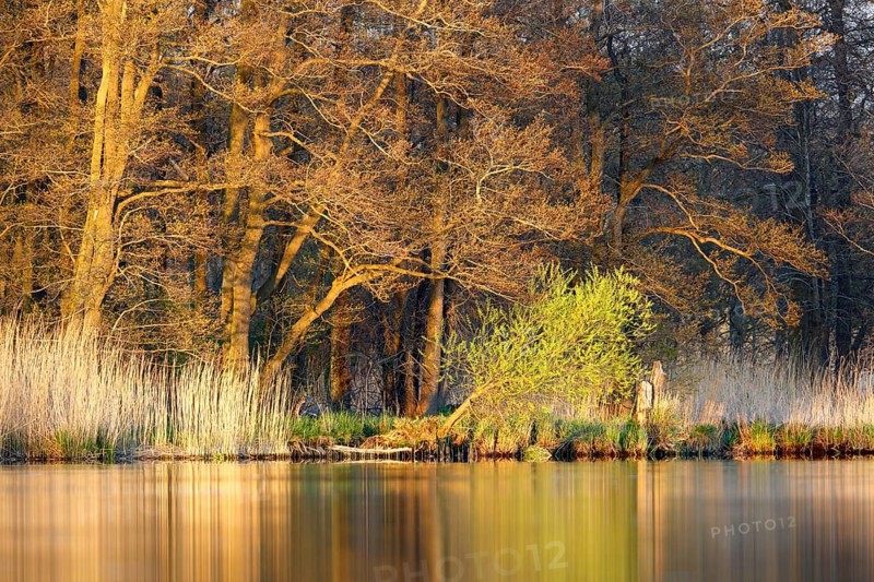 Evening atmosphere by the river