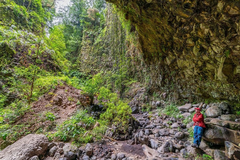 Hikers in the laurel forest of the water gorge