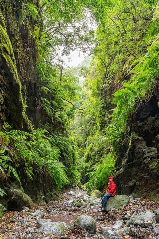 Hikers in the laurel forest of the water gorge