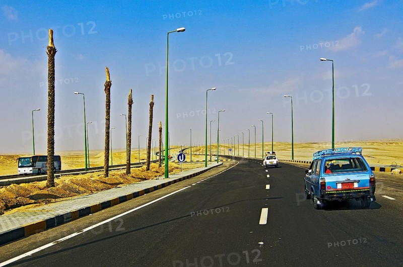 Palm trees and street lamps on the road between Al Quseir and Hurghada