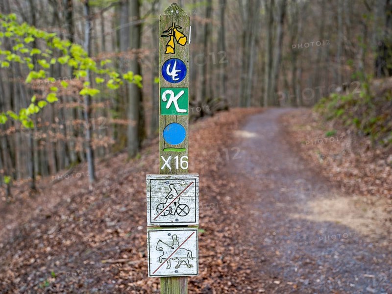Wooden posts with trail markings and symbols for hiking trails