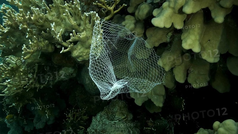 Discarded kitchen plastic storage net shopping hang down of coral reef. Plastic pollution of the ocean. Plastic mesh bag hanging on a beautiful coral reef. Red sea