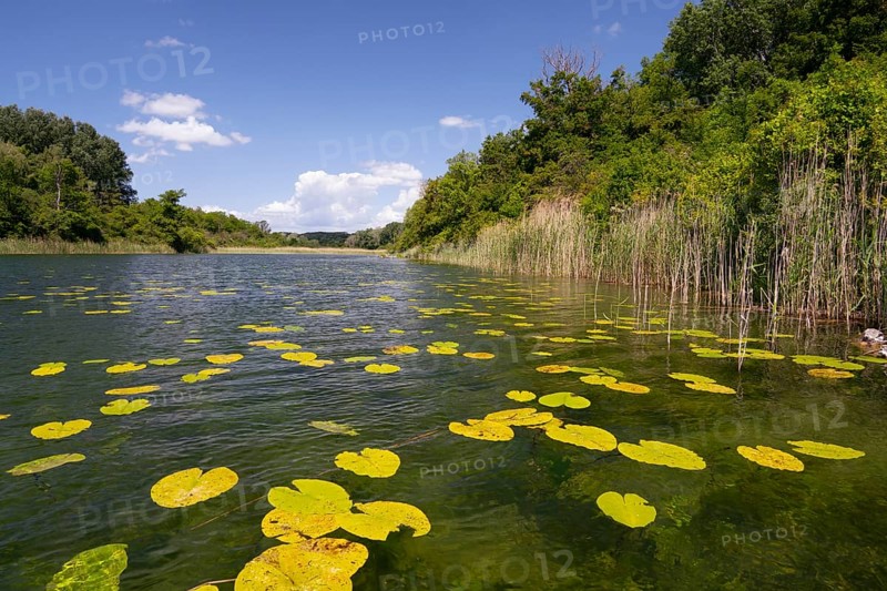 Alluvial landscape