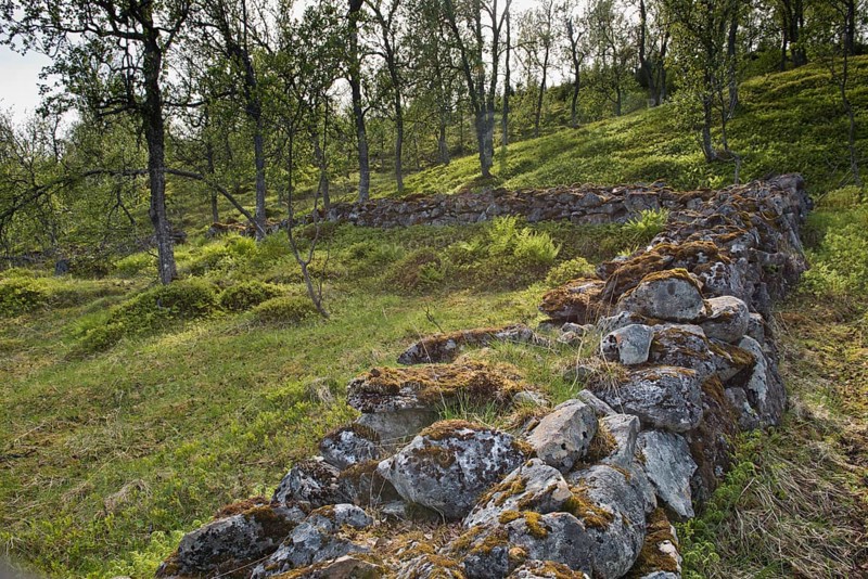 Mossy boulder wall
