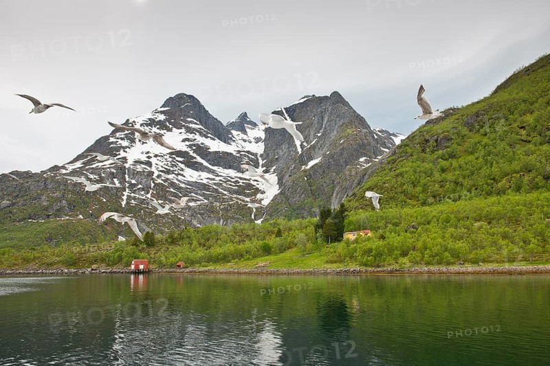 Fjord landscape