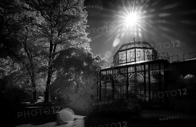 Greenhouse at the Moorish country house