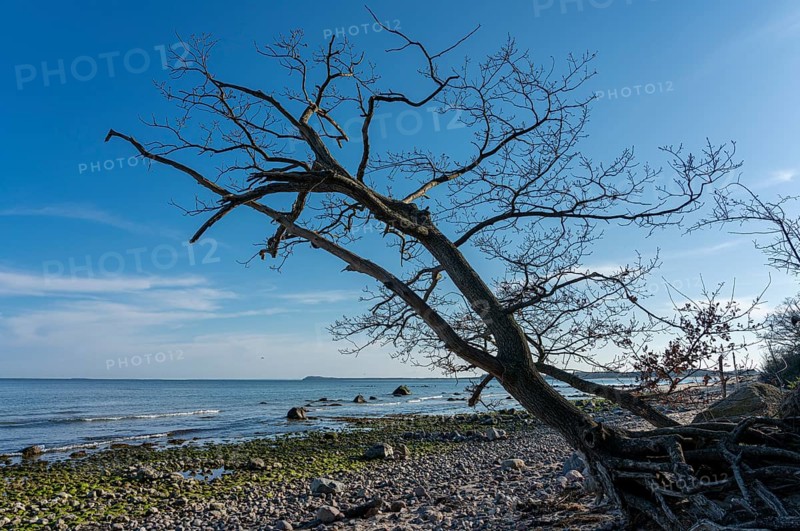 Coastal landscape near Lietzow on the island of Ruegen
