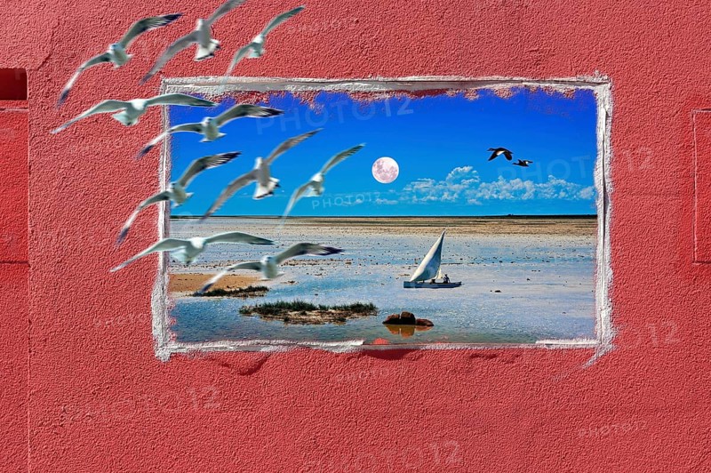 Photomontage