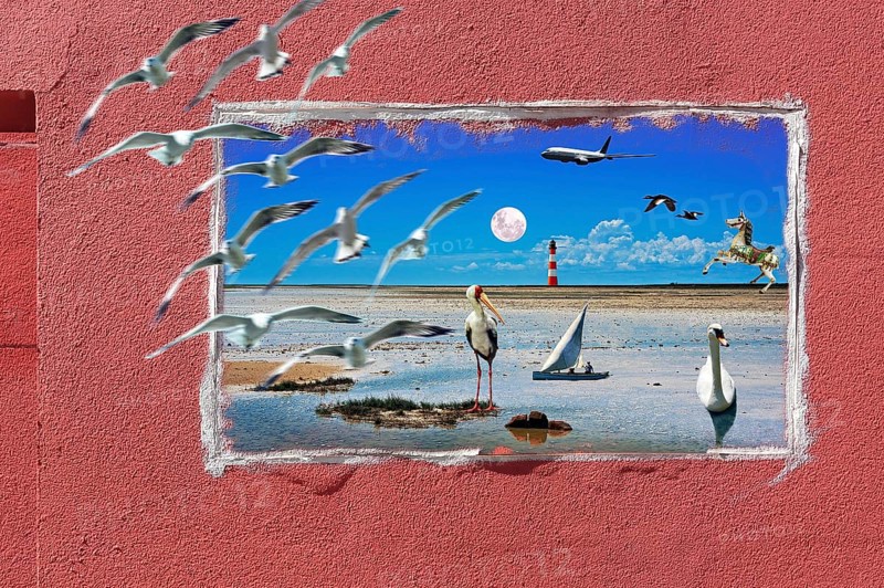 Photomontage
