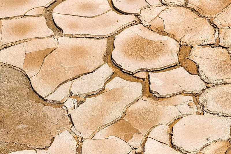 Parched soil