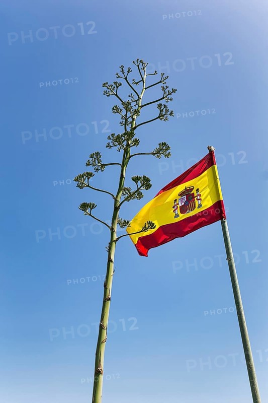 Spanish national flag with national coat of arms