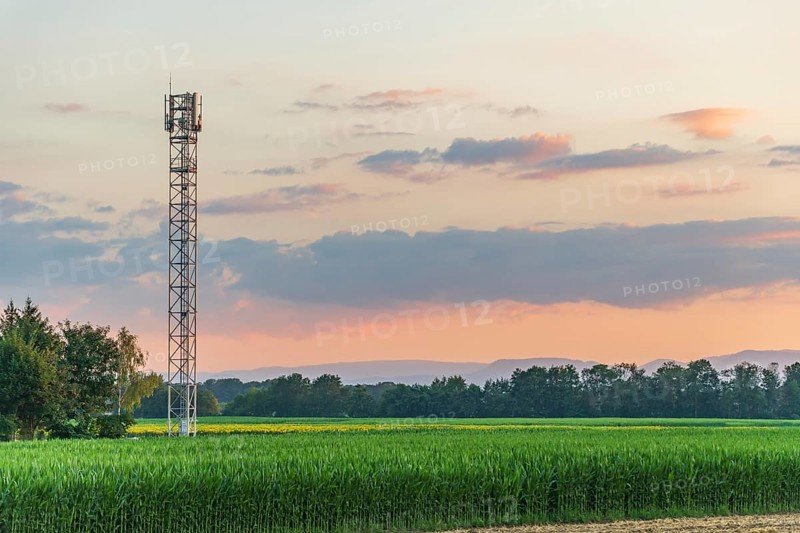 Telecom antenna in countryside in summer at sunset. Alsace