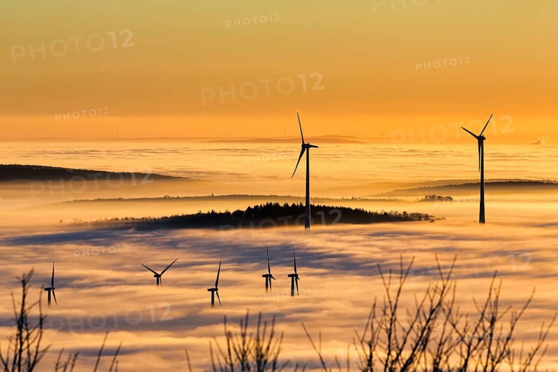 Wind turbines and forest rising from cloud cover