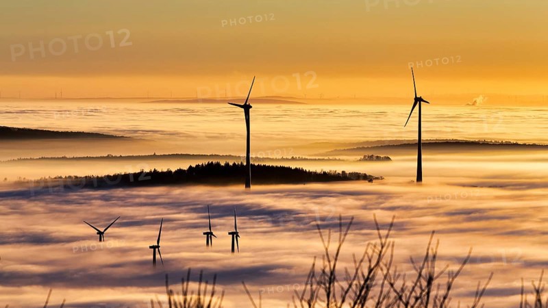 Wind turbines and forest rising from cloud cover