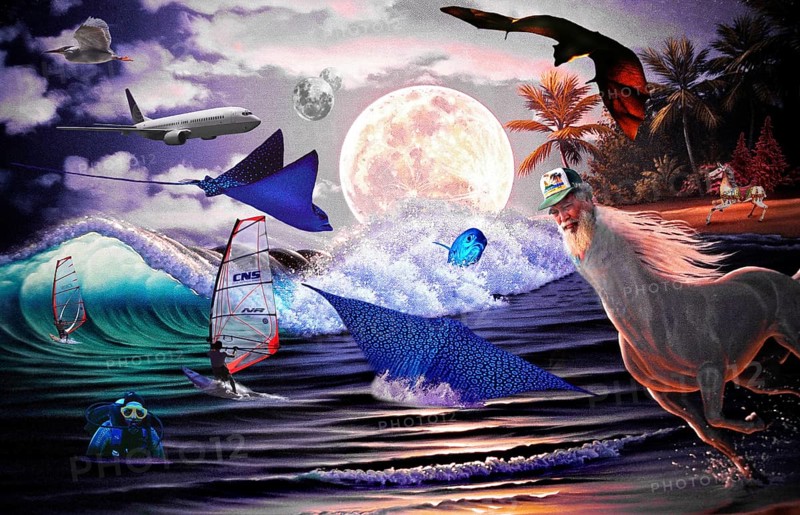 Photomontage with fish