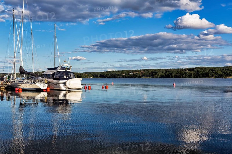 Boats in the marina