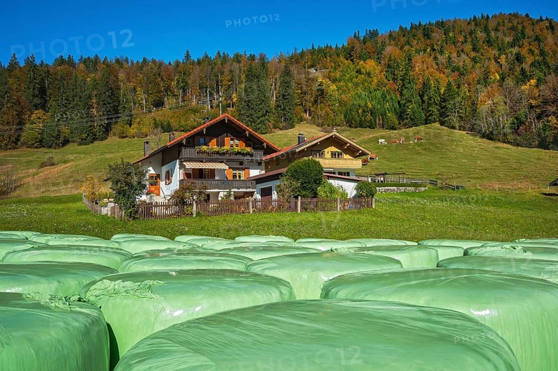 Green hay silo bales and cottages