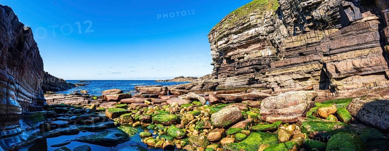 Cliffs over Puffin Cove