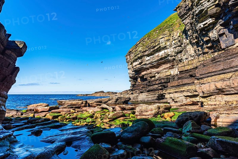Cliffs over Puffin Cove