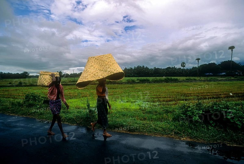 A couple carrying palm leaf basket over their head to cover themselves from rain on the way to Attappadi