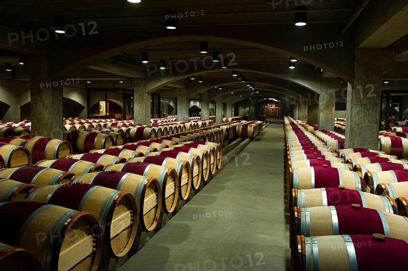 French oak barriques in the aging cellar of Robert Mondavi Winery