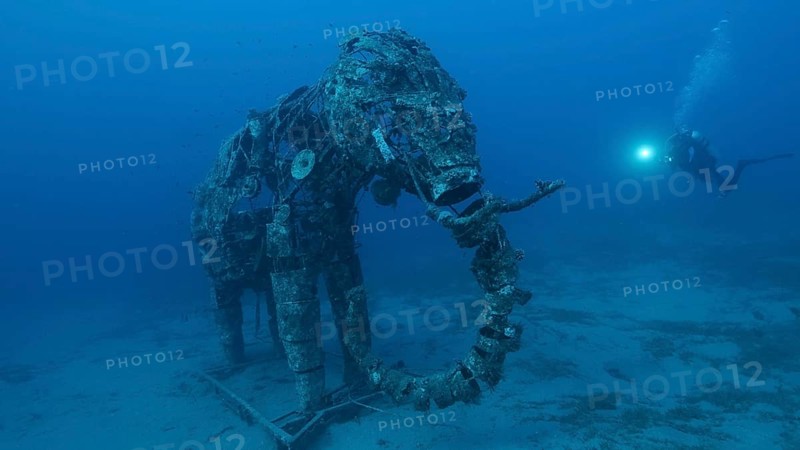 Sculpture of an elephant on the seabed. Lighthouse dive site