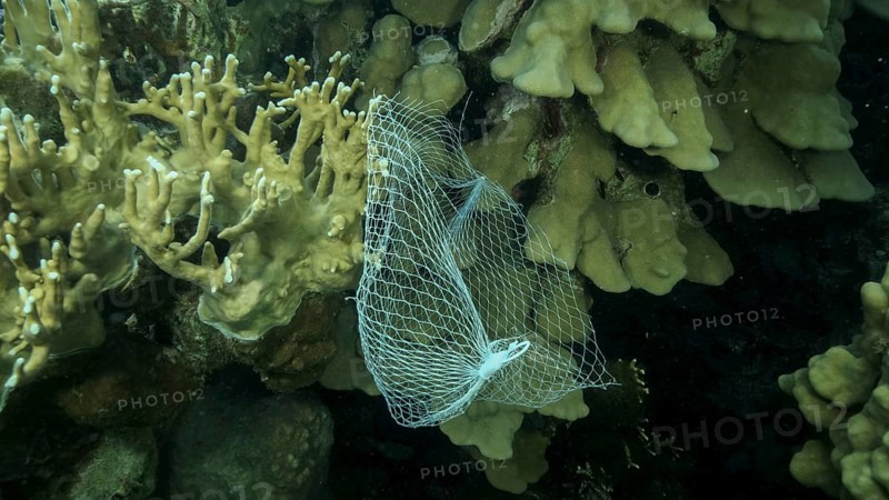 Discarded kitchen plastic storage net shopping hang down of coral reef. Plastic pollution of the ocean. Plastic mesh bag hanging on a beautiful coral reef. Red sea