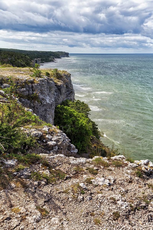 Cliff coast Hoegklint in summer