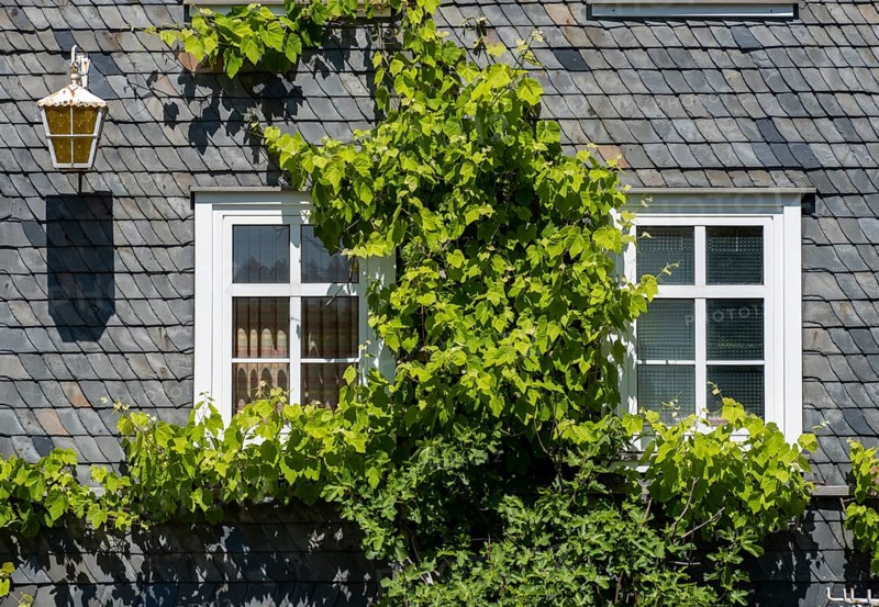 Facade covered with slate shingles of a former restaurant at the Auerhahnteich