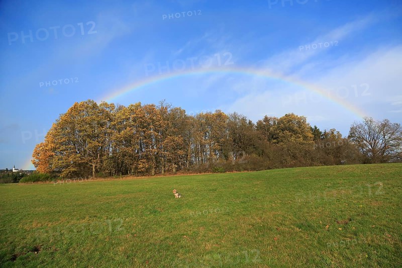 Rainbow over field and woodland near Eschweiler