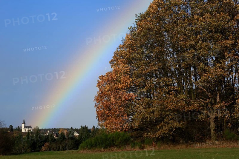 Rainbow over field and woodland near Eschweiler