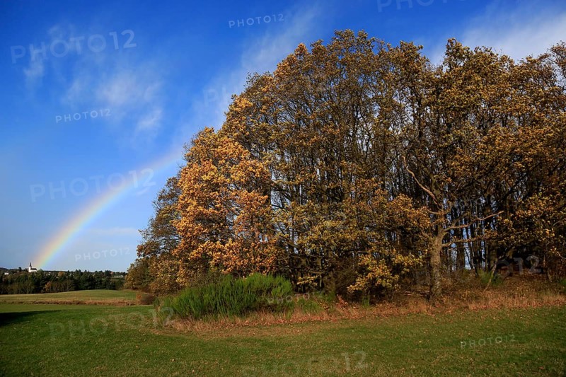 Rainbow over field and woodland near Eschweiler