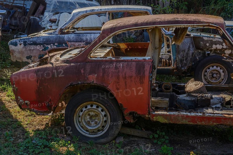 Old cars rolled for scrapping in a meadow. Alsace