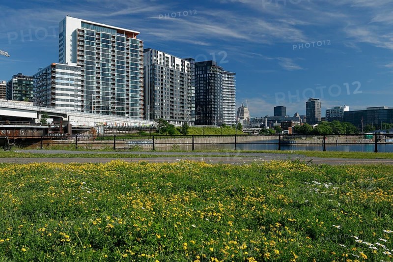 Modern apartment buildings