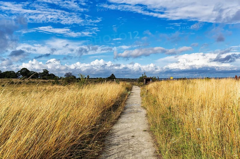 Hiking trail to Furilden nature reserve and bird sanctuary in summer