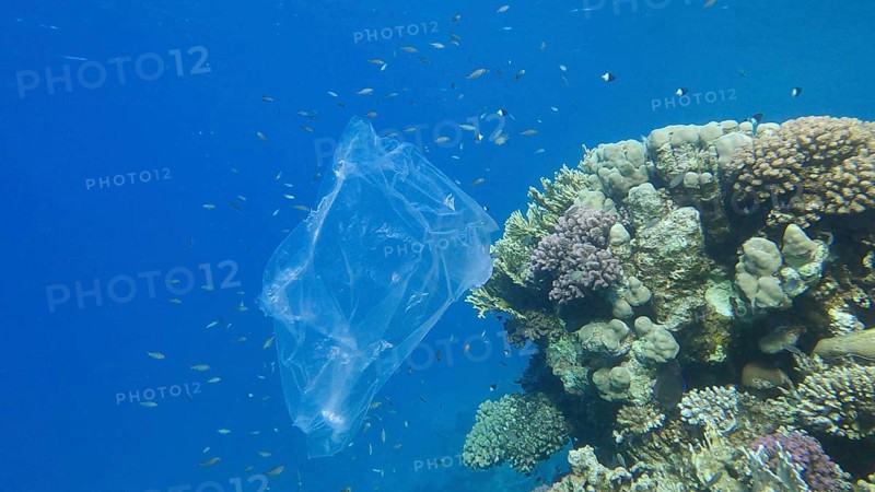 Plastic pollution of the Ocean