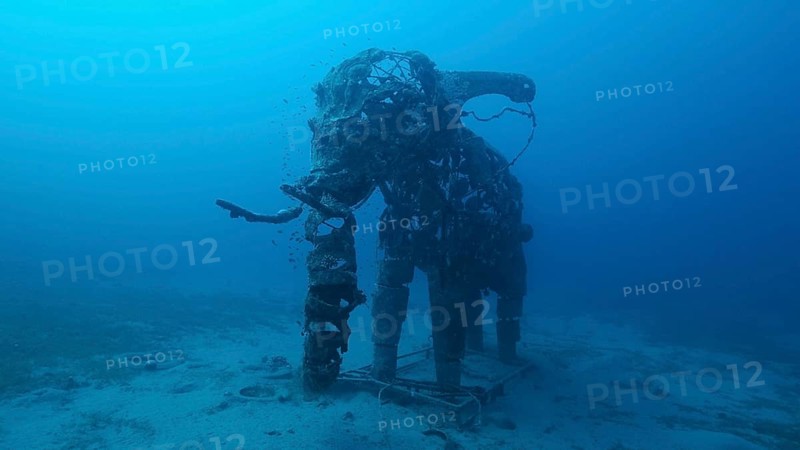 Sculpture of an elephant on the seabed. Lighthouse dive site