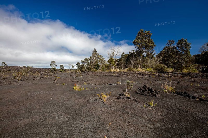 View over the lava flow
