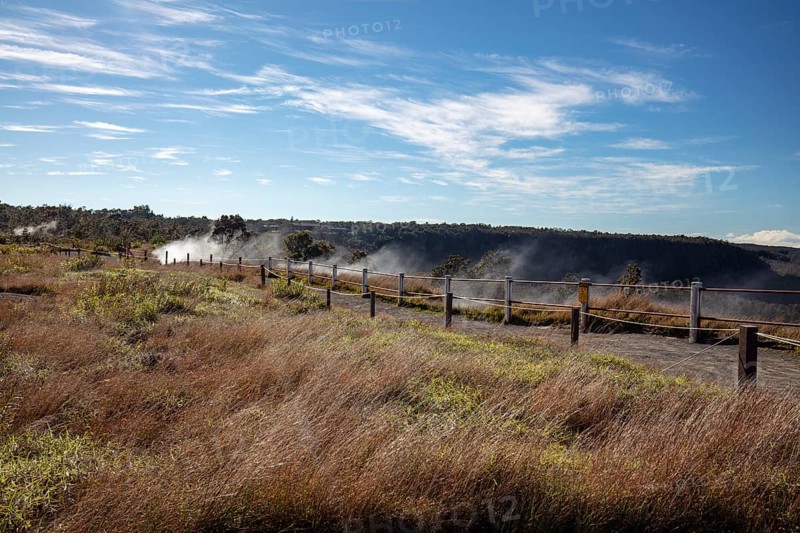 Steam Vents