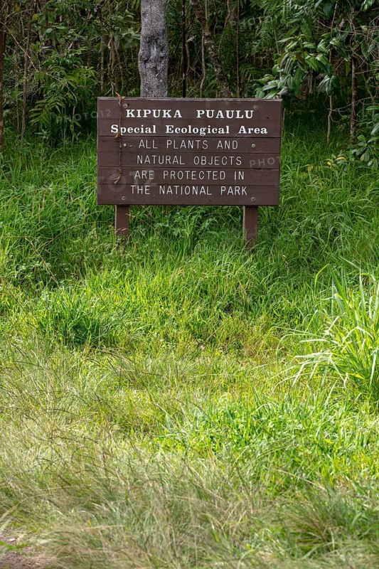 Kipuka Puaulu