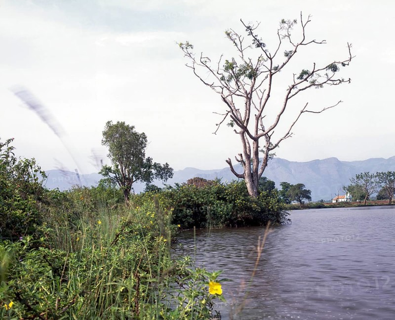Moyar Lake near Masinagud in Ooty