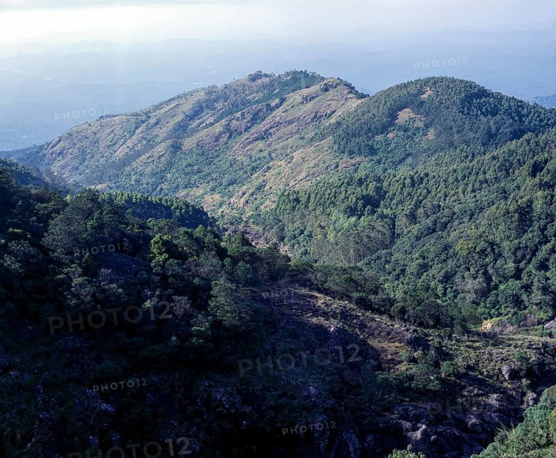 A Hillscape view in Nilgiris