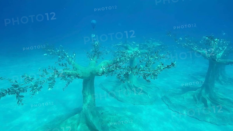 Museum of Underwater Sculpture Ayia Napa
