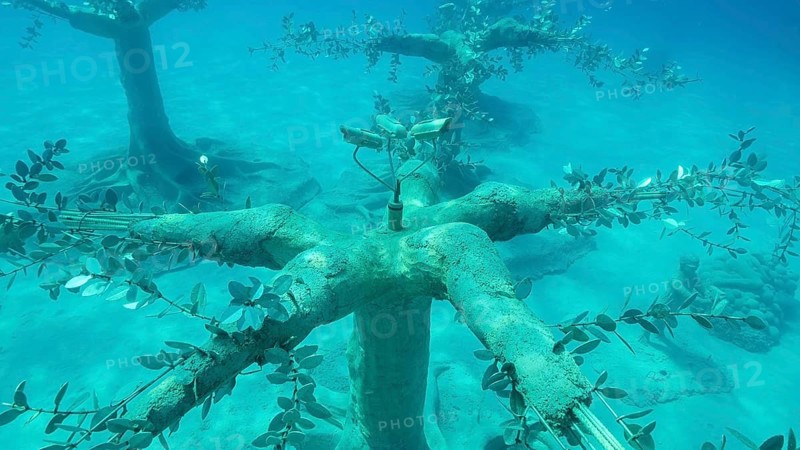 Museum of Underwater Sculpture Ayia Napa