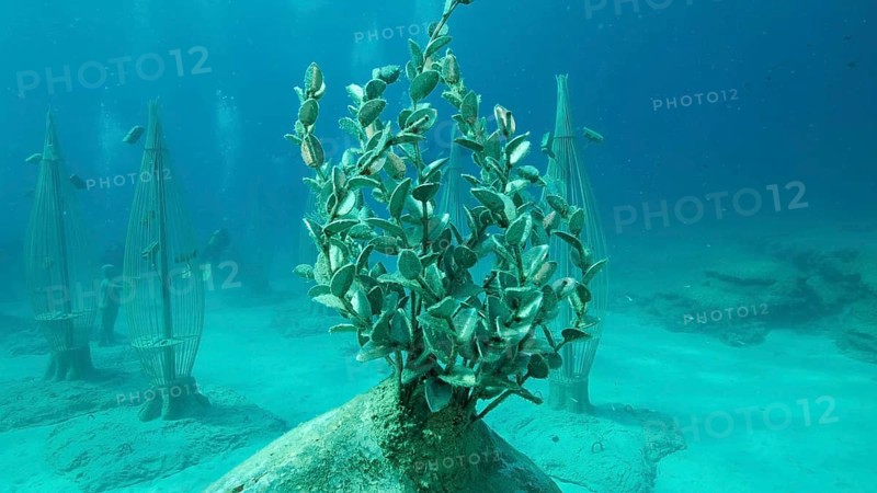 Museum of Underwater Sculpture Ayia Napa