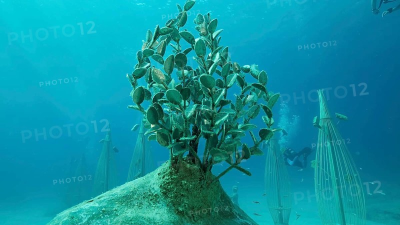 Museum of Underwater Sculpture Ayia Napa