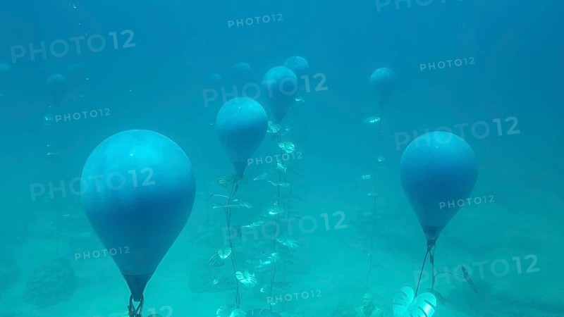 Museum of Underwater Sculpture Ayia Napa
