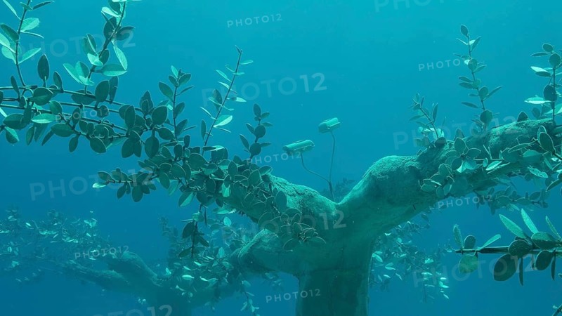 Museum of Underwater Sculpture Ayia Napa